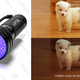 LOFTEK UV Flashlight Black Light, 51 LED 395 nM Ultraviolet Flashlight | $8 | Amazon